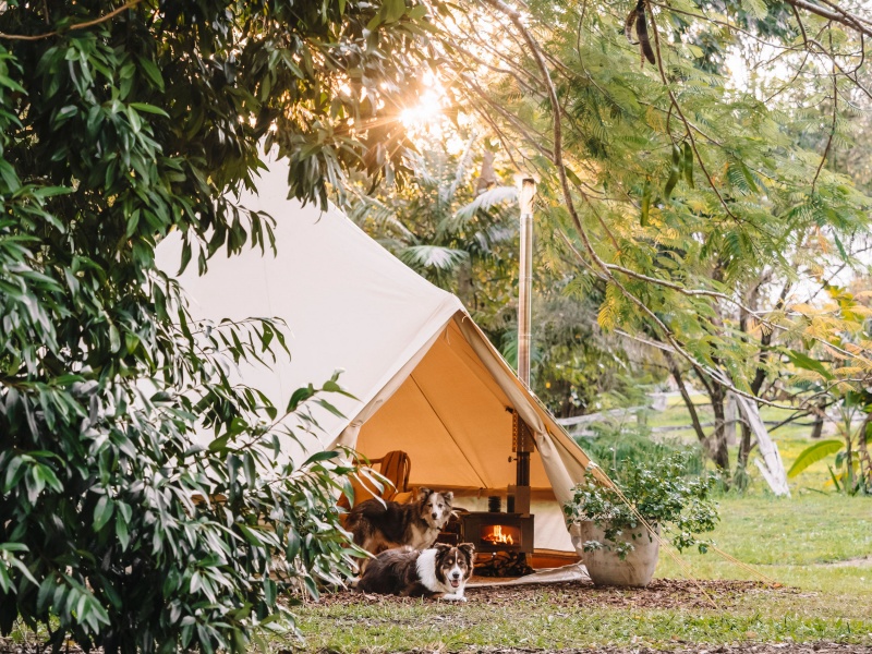 Características de seguridad clave a tener en cuenta en una tienda de campaña glamping