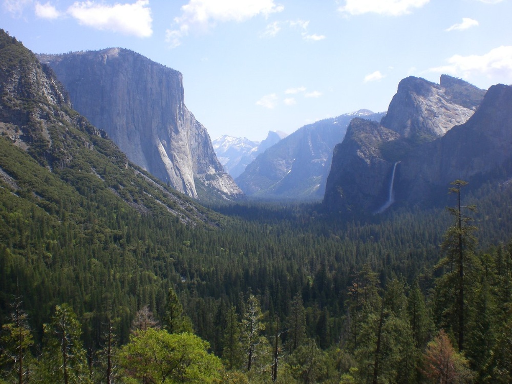 ¿Qué hay que tener en cuenta al acampar en el Parque Nacional de Yosemite?
